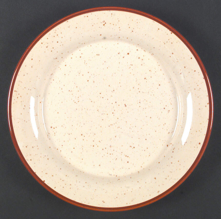 Earthborn Dinner Plate by Franciscan-1