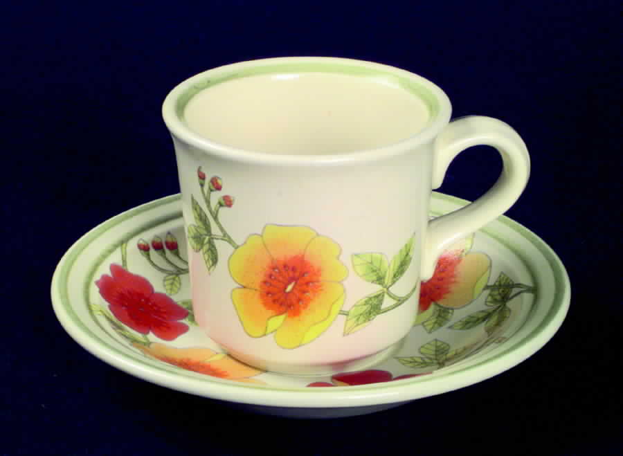 English Rock Rose Flat Cup & Saucer Set by Franciscan-1