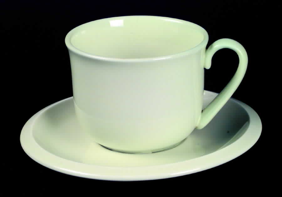 Floral Sculptures Celadon Flat Cup & Saucer Set by Franciscan-1