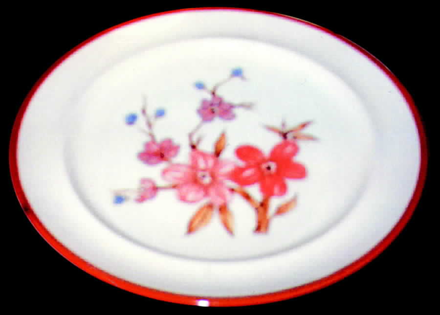 FN3 Dinner Plate by Franciscan-1