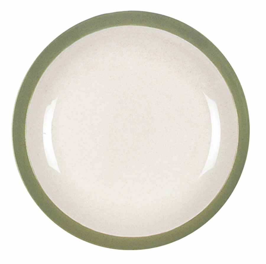 Homeware Green Dinner Plate by Franciscan-1