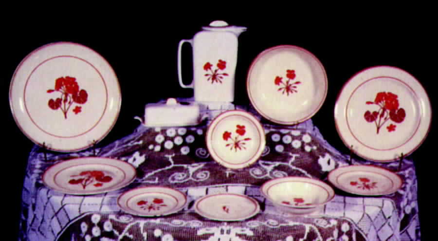 Geranium Dinner Plate by Franciscan-1