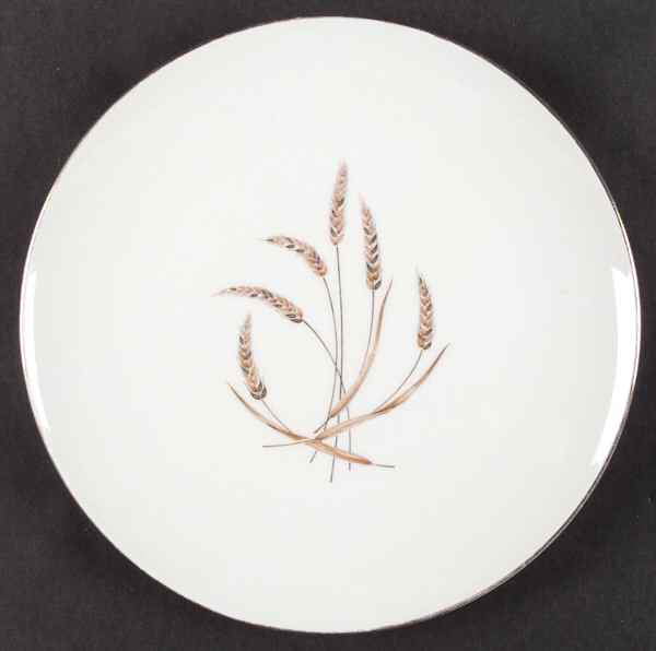 Glenfield Dinner Plate by Franciscan-1