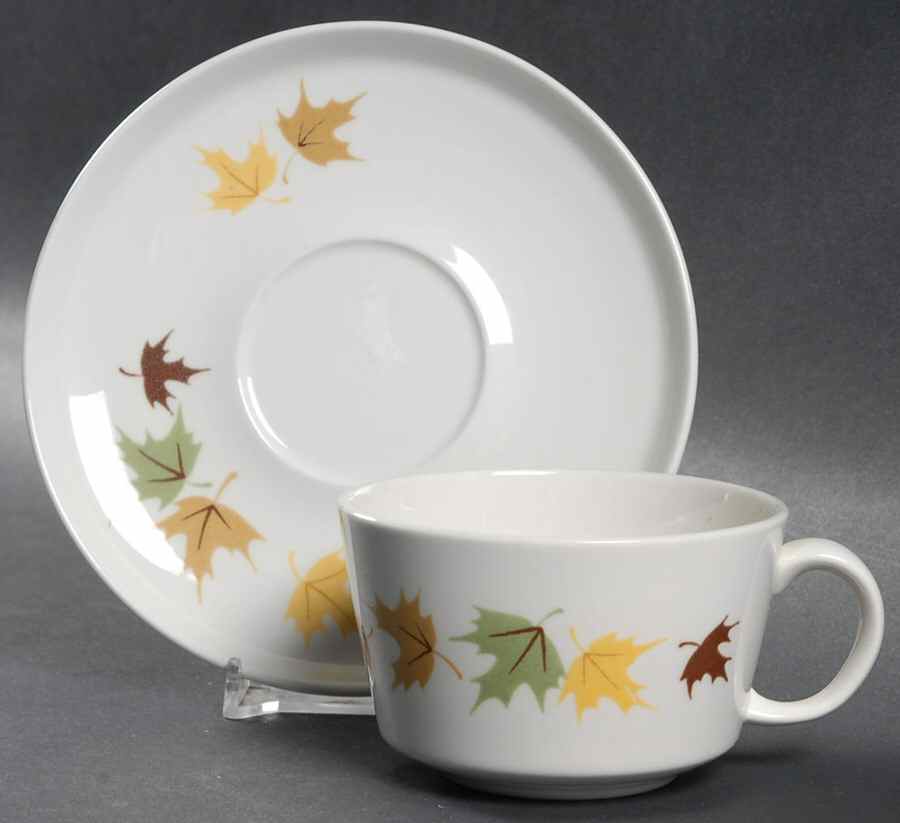 Indian Summer Flat Cup & Saucer Set by Franciscan-1