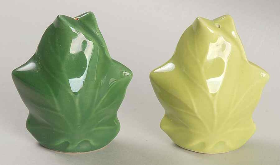 Ivy (American) Salt & Pepper Set by Franciscan-1
