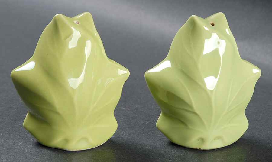 Ivy (American) Salt & Pepper Set by Franciscan-1