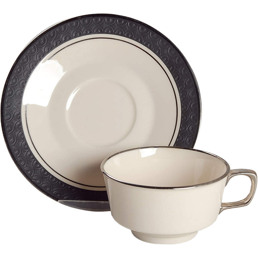 Midnight Mist Flat Cup & Saucer Set by Franciscan-1