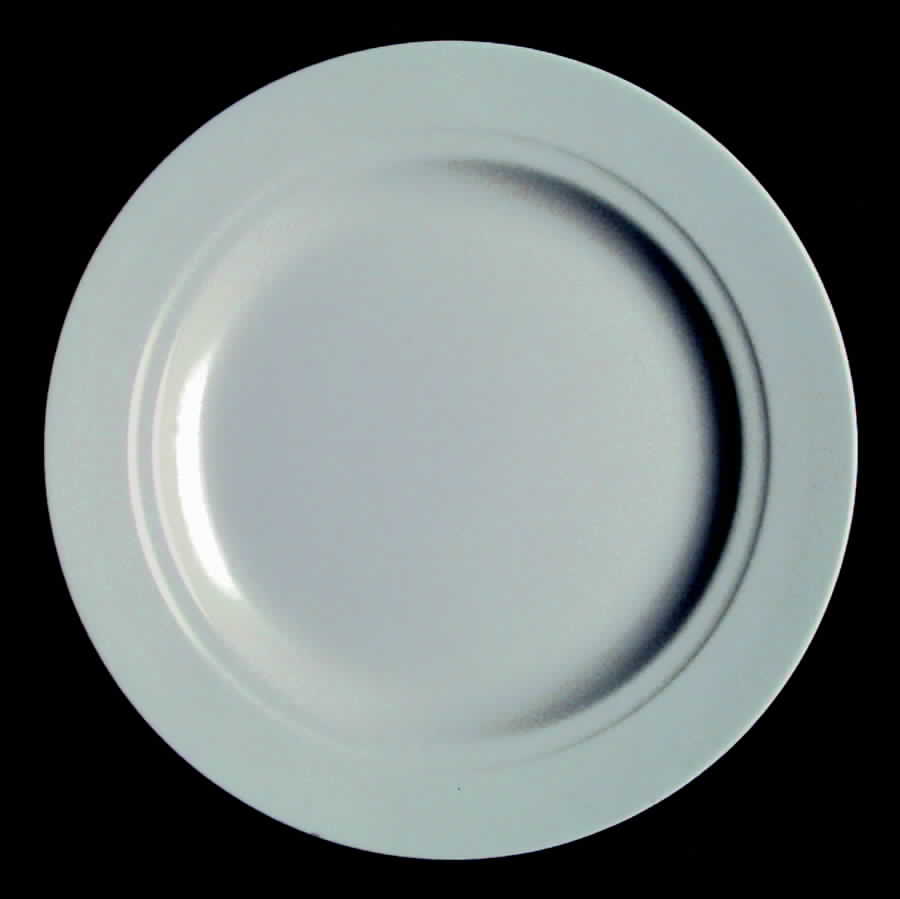 Montecito Gray Dinner Plate by Franciscan-1