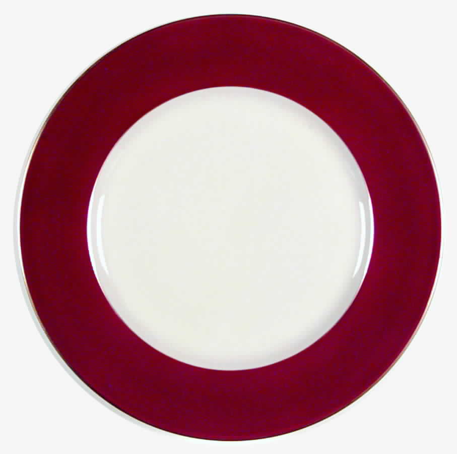 Northridge Luncheon Plate by Franciscan-1
