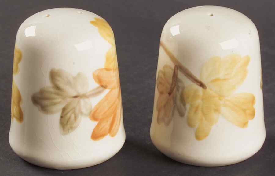 October Salt & Pepper Set by Franciscan-1