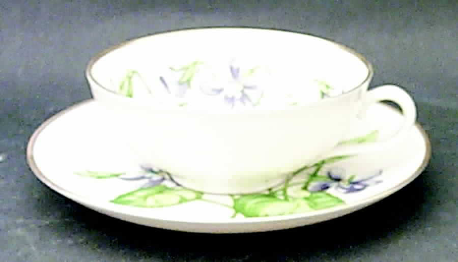 Olympic Flat Cup & Saucer Set by Franciscan-1