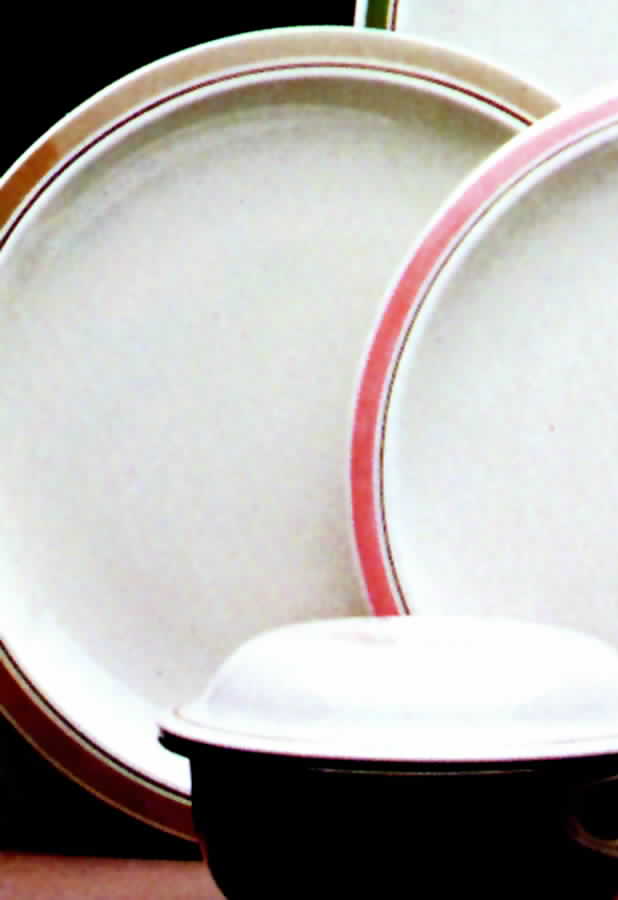 Ovation Beige Dinner Plate by Franciscan-1
