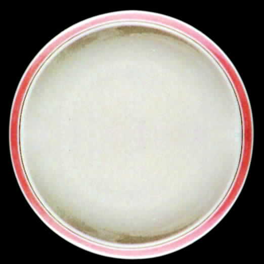 Ovation Coral Dinner Plate by Franciscan-1