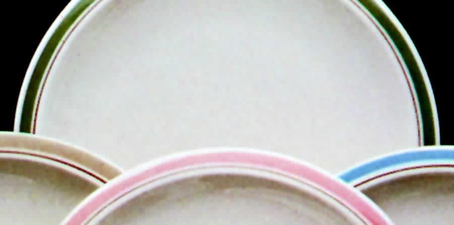 Ovation Green Dinner Plate by Franciscan-1