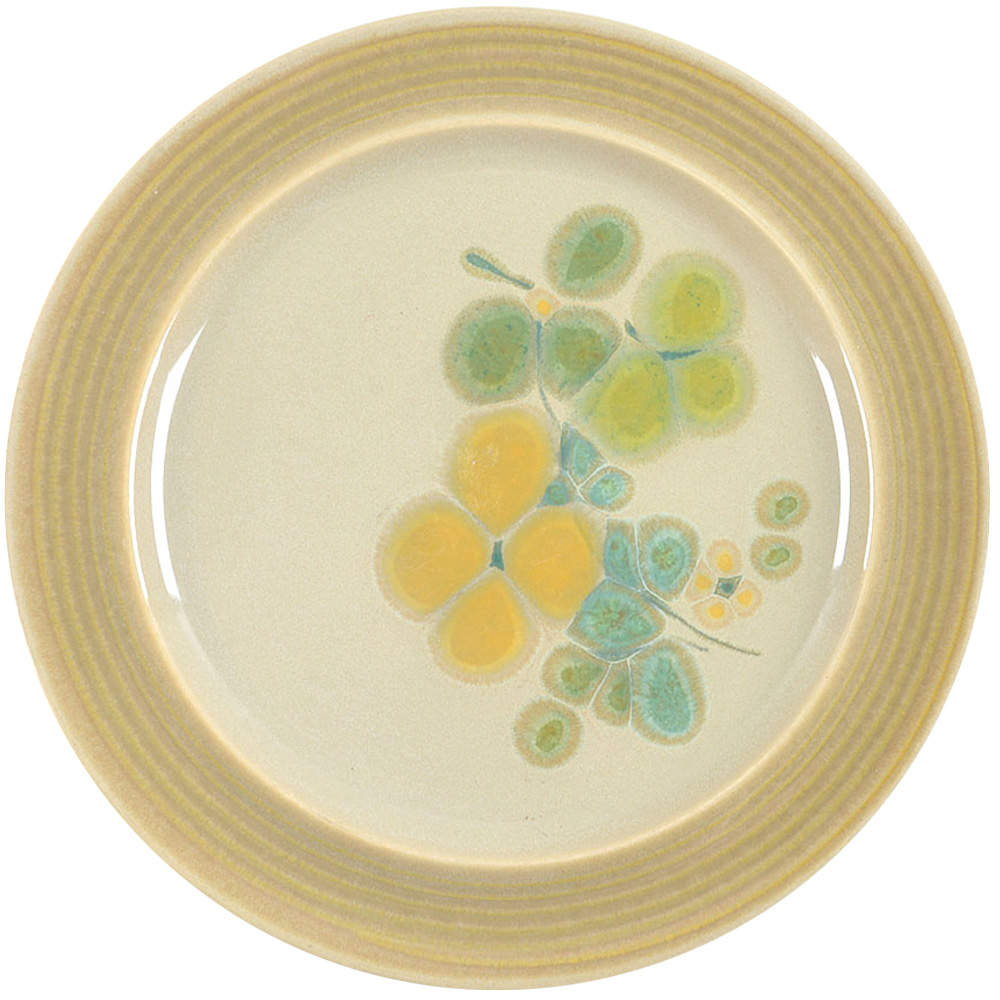 Pebble Beach Dinner Plate by Franciscan-1