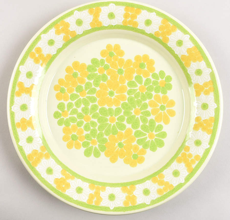 Picnic Dinner Plate by Franciscan-1