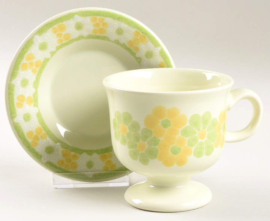 Picnic Footed Cup & Saucer Set by Franciscan-1