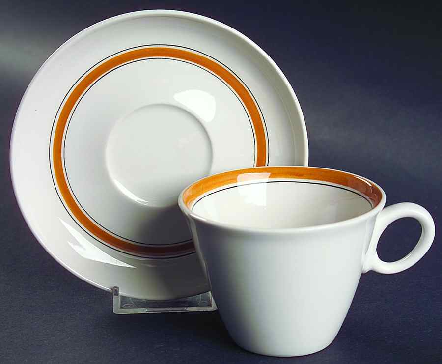 Pickwick Flat Cup & Saucer Set by Franciscan-1