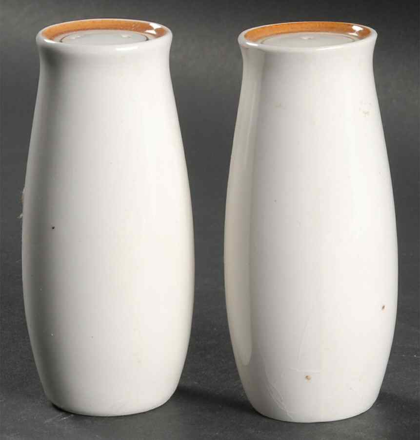 Pickwick Salt & Pepper Set by Franciscan-1