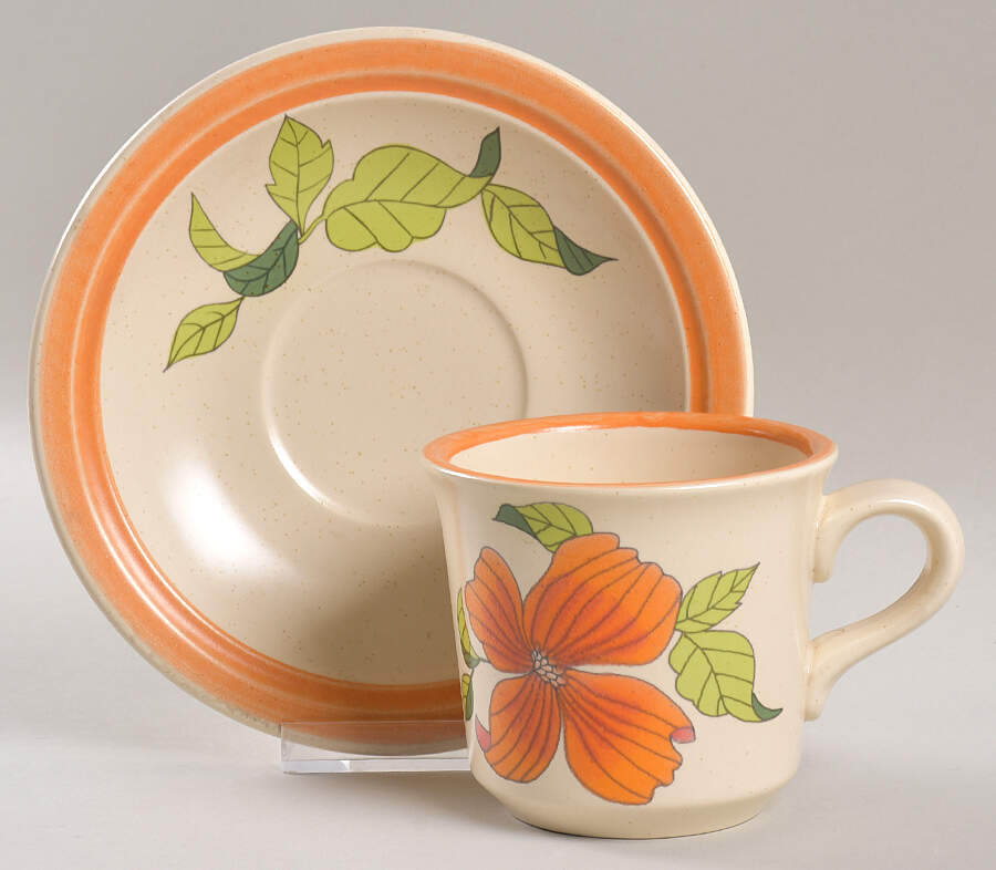 Polynesia Flat Cup & Saucer Set by Franciscan-1