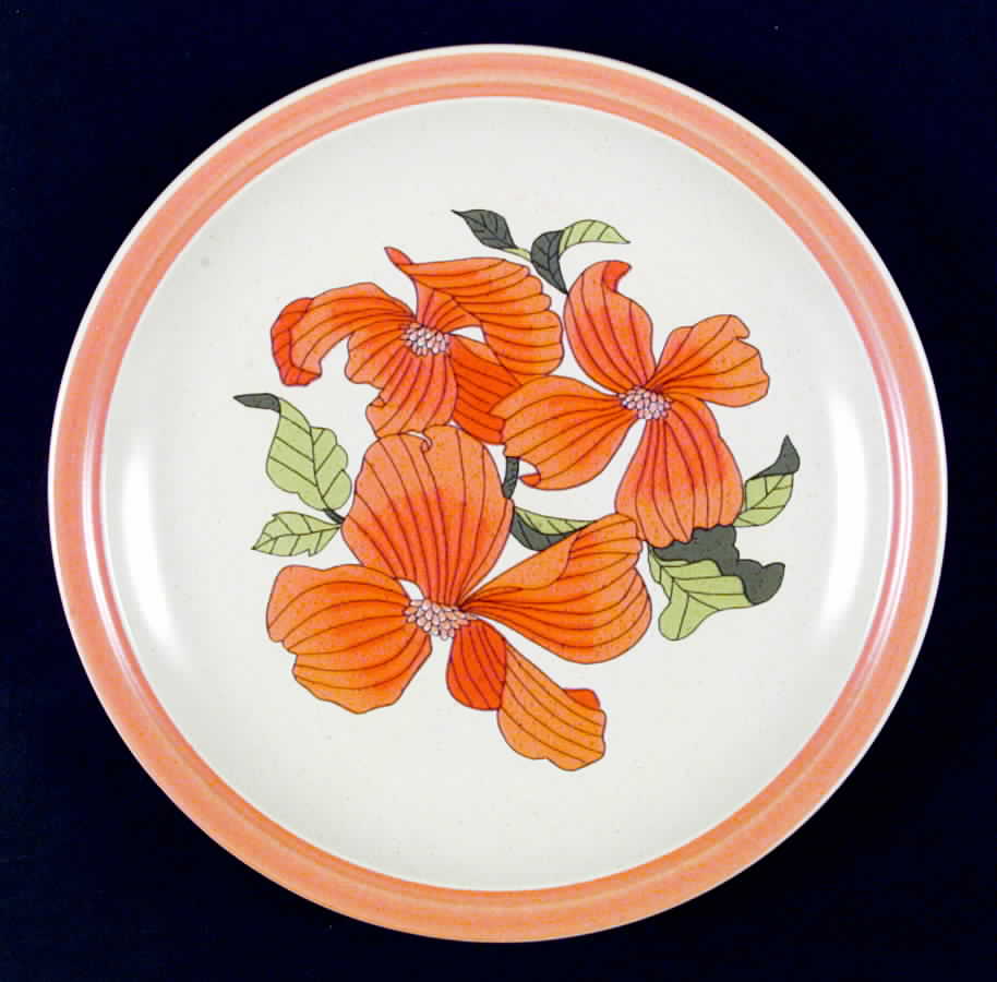 Polynesia Dinner Plate by Franciscan-1