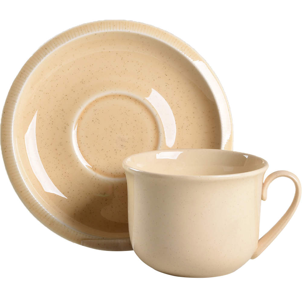 Sea Sculptures Sand Flat Cup & Saucer Set by Franciscan-1
