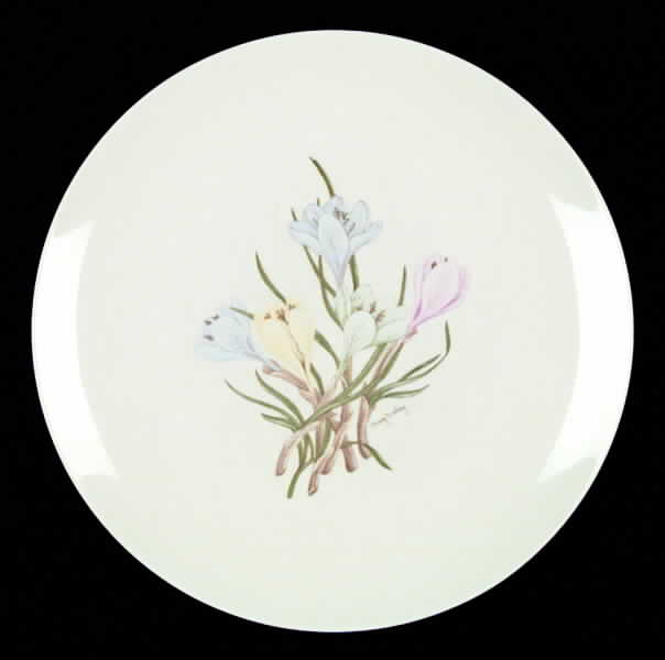 Sierra (Fine China) Dinner Plate by Franciscan-1