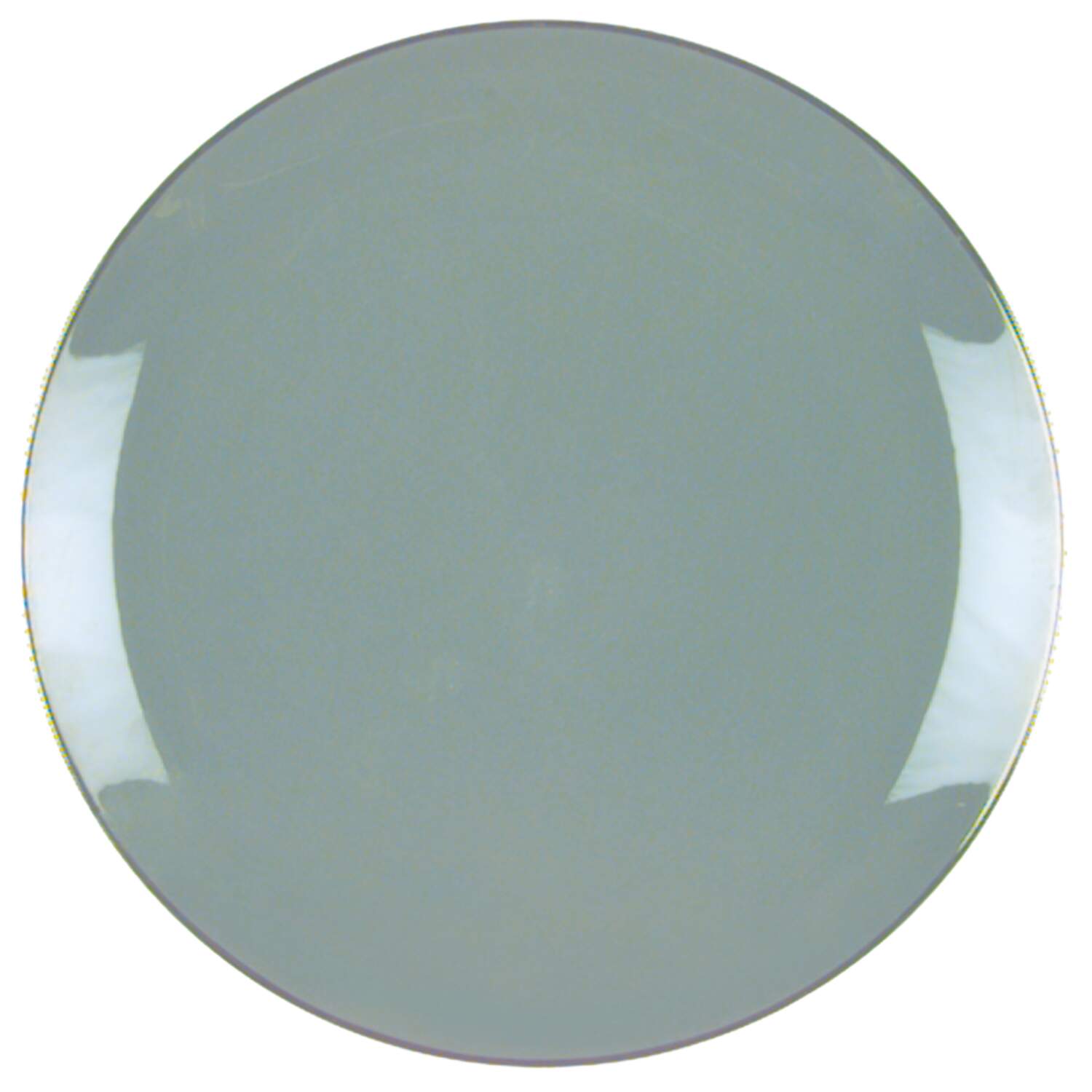 Spruce (Platinum Trim) Dinner Plate by Franciscan-1