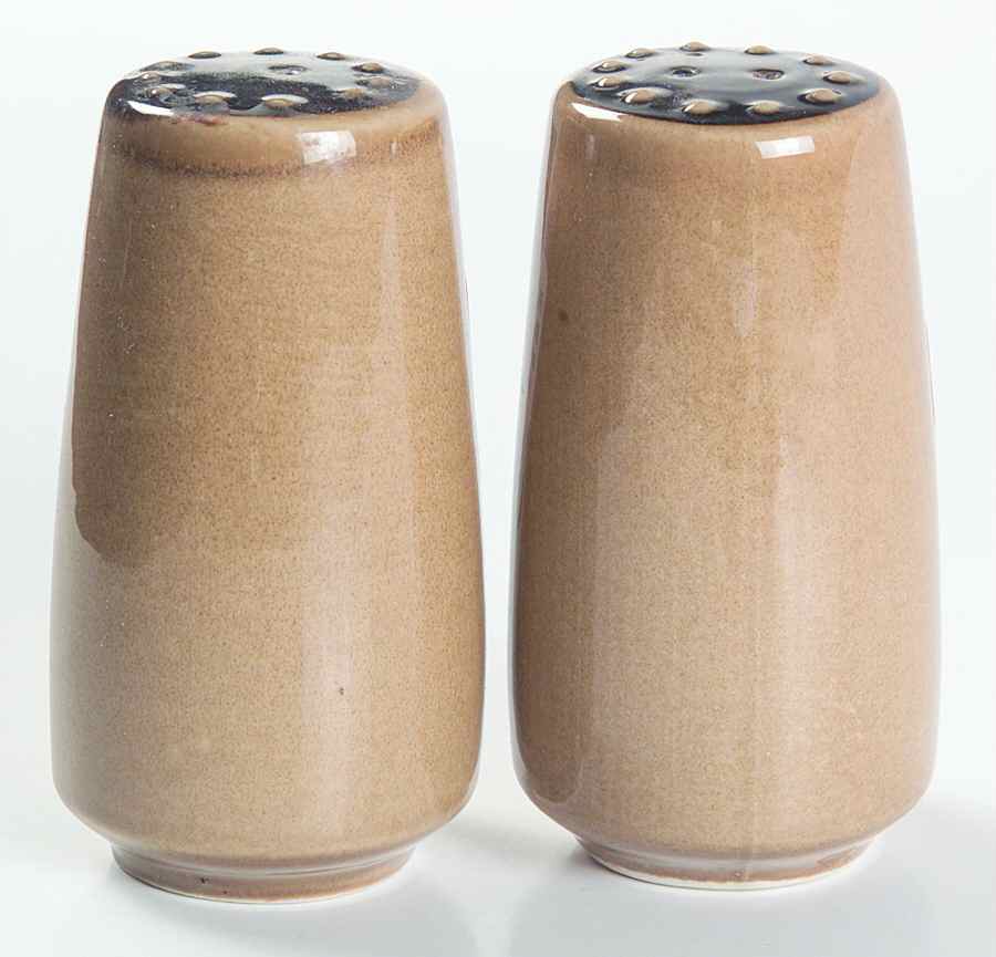 Tahiti Salt & Pepper Set by Franciscan-1