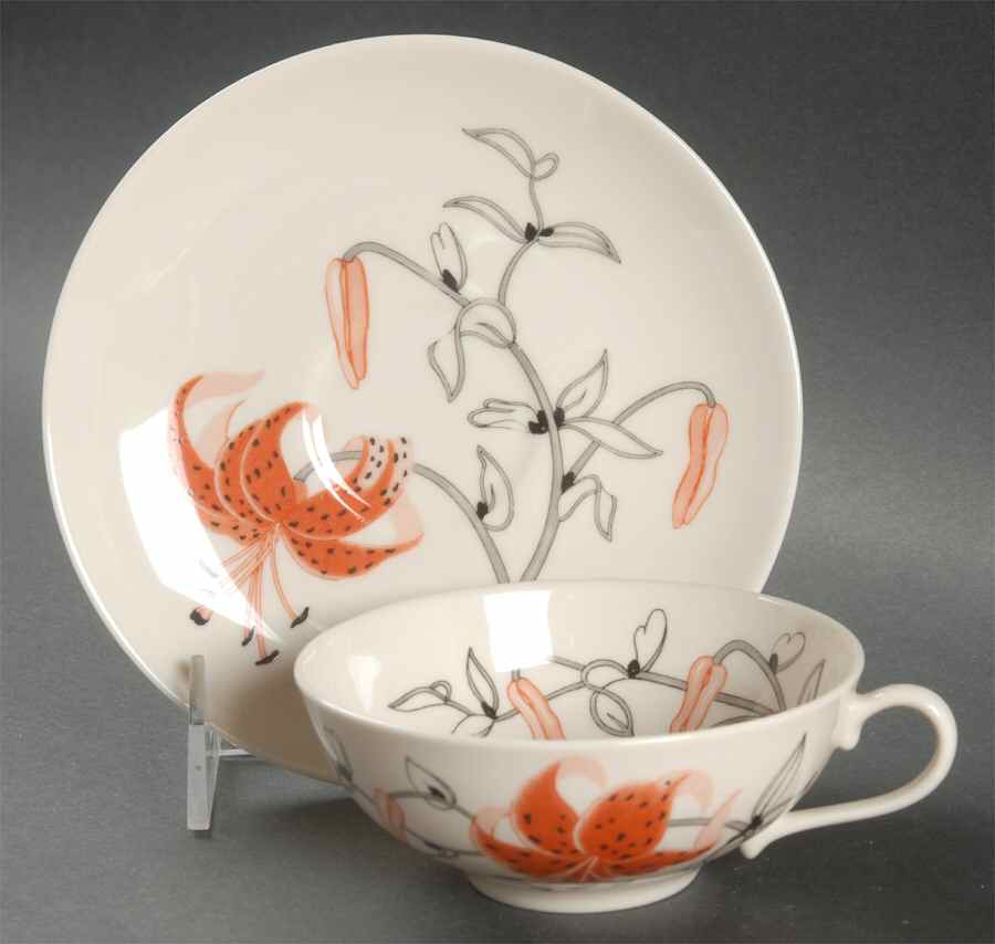 Tahoe Flat Cup & Saucer Set by Franciscan-1