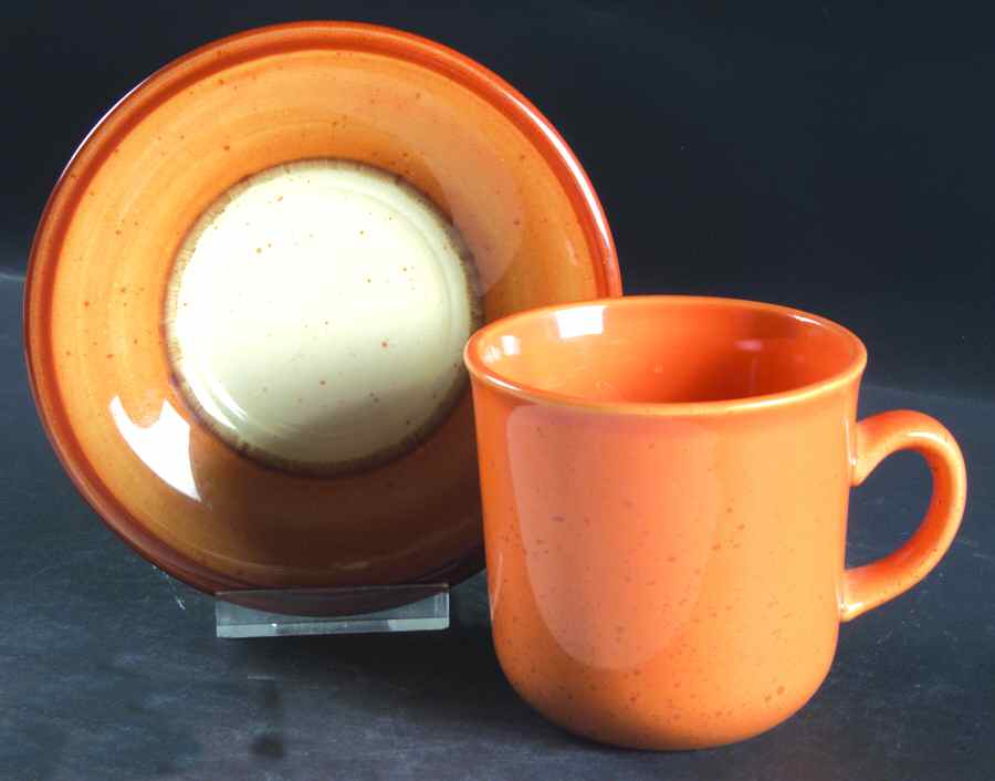 Tangier Flat Cup & Saucer Set by Franciscan-1