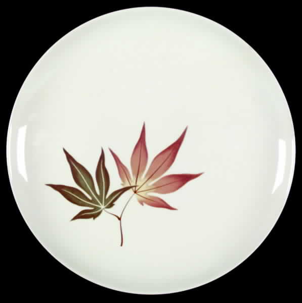 Twice Nice Dinner Plate by Franciscan-1
