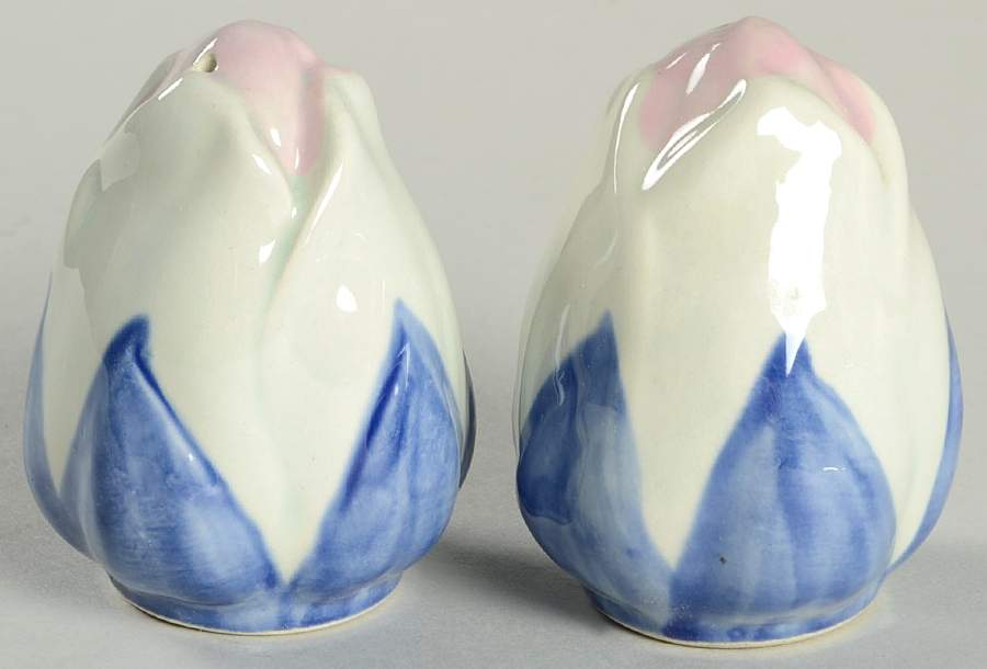 Twilight Rose Salt & Pepper Set by Franciscan-1