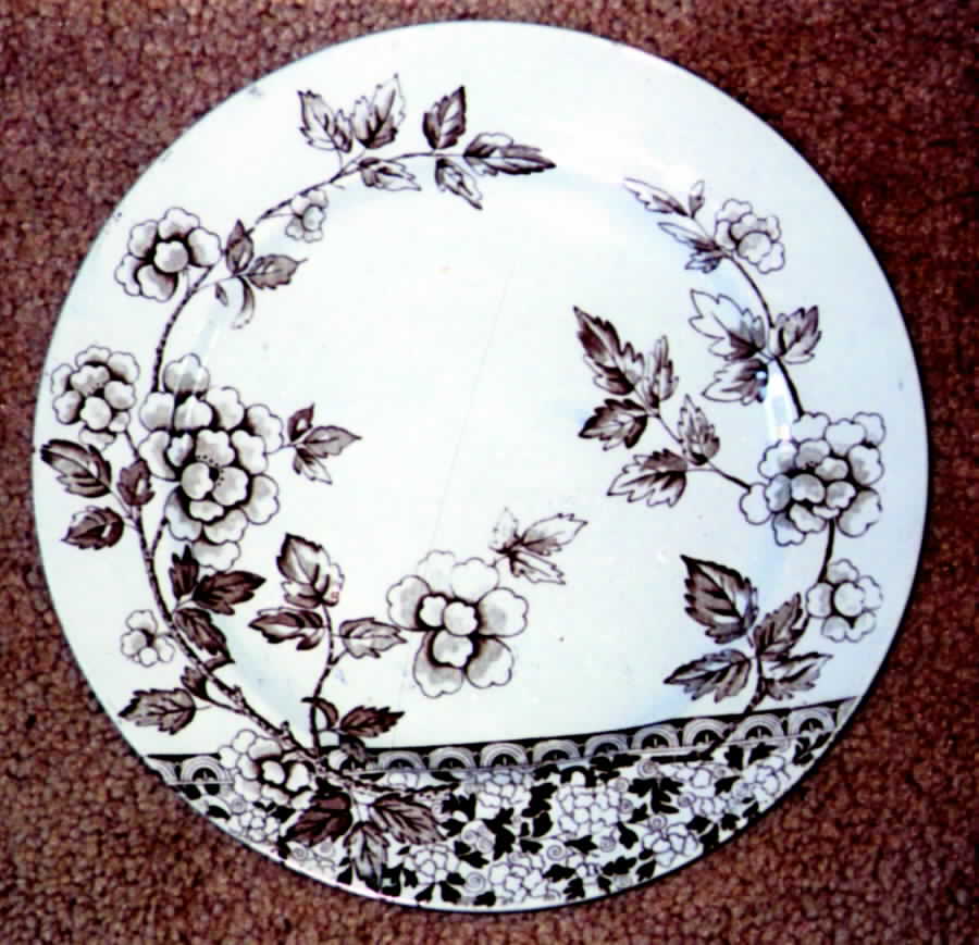 Albert Dinner Plate by Foley-1