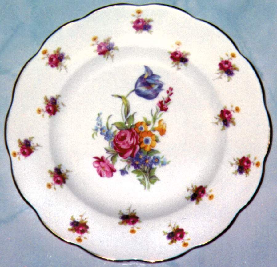 FOL15 Dinner Plate by Foley-1