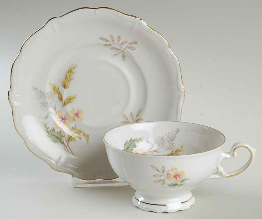 Wheatfield Footed Cup & Saucer Set by Forest-1