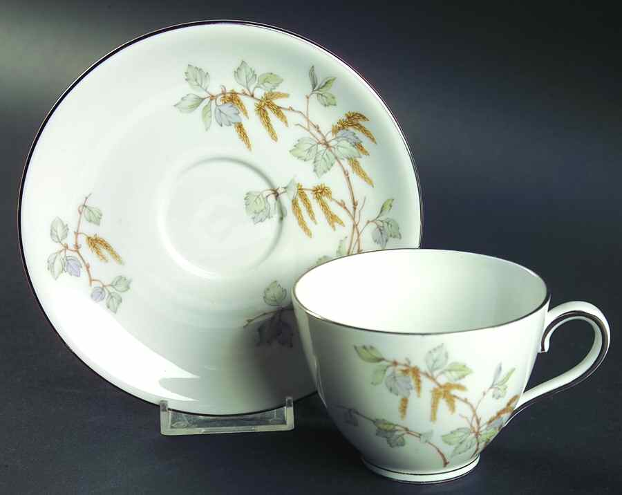 Birch Blossoms (Platinum Trim) Flat Cup & Saucer Set by Franconia-Krautheim & Adelburg-1