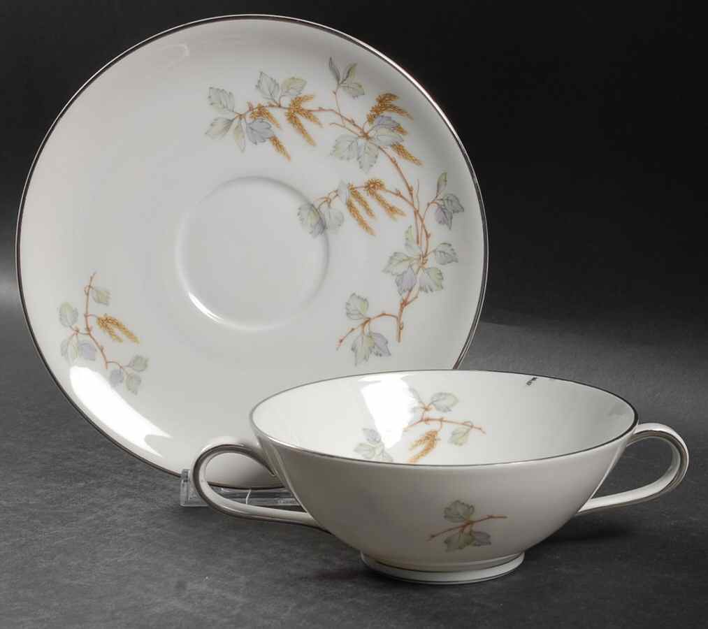 Birch Blossoms (Platinum Trim) Footed Cream Soup Bowl & Saucer Set by Franconia-Krautheim & Adelburg-1