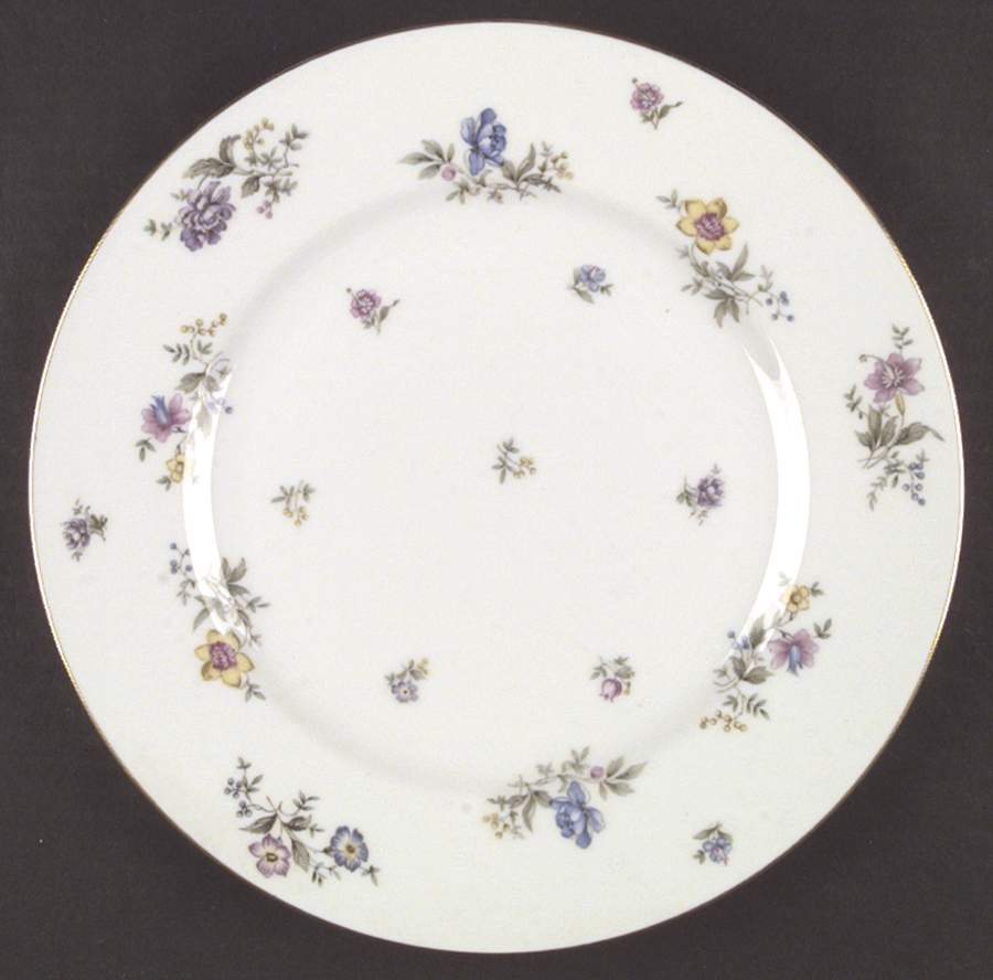 Fleurettes Dinner Plate by Franconia-Krautheim & Adelburg-1