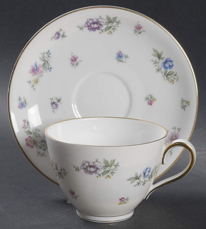 Fleurettes Flat Cup & Saucer Set by Franconia-Krautheim & Adelburg-1