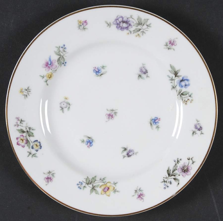 Fleurettes Bread & Butter Plate by Franconia-Krautheim & Adelburg-1