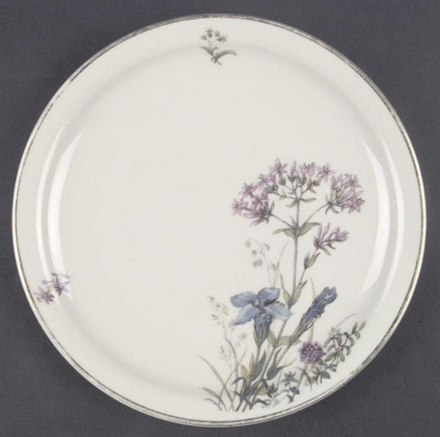 FR53 Salad Plate by Franconia-Krautheim & Adelburg-1