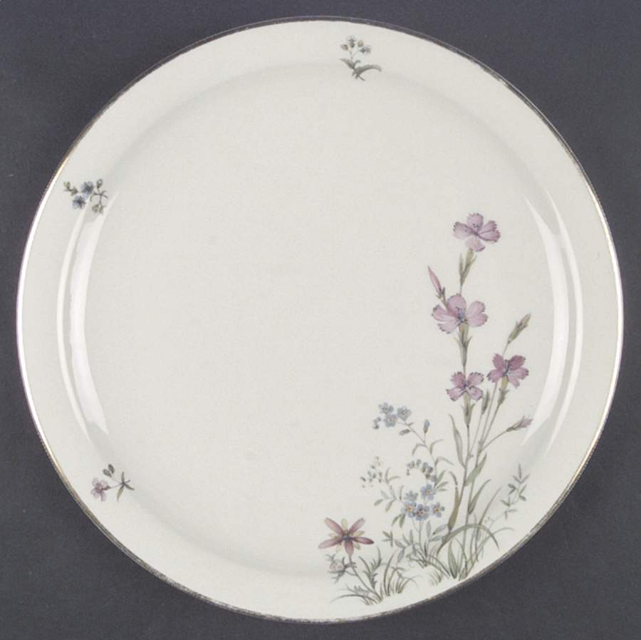 FR53 Dinner Plate by Franconia-Krautheim & Adelburg-1