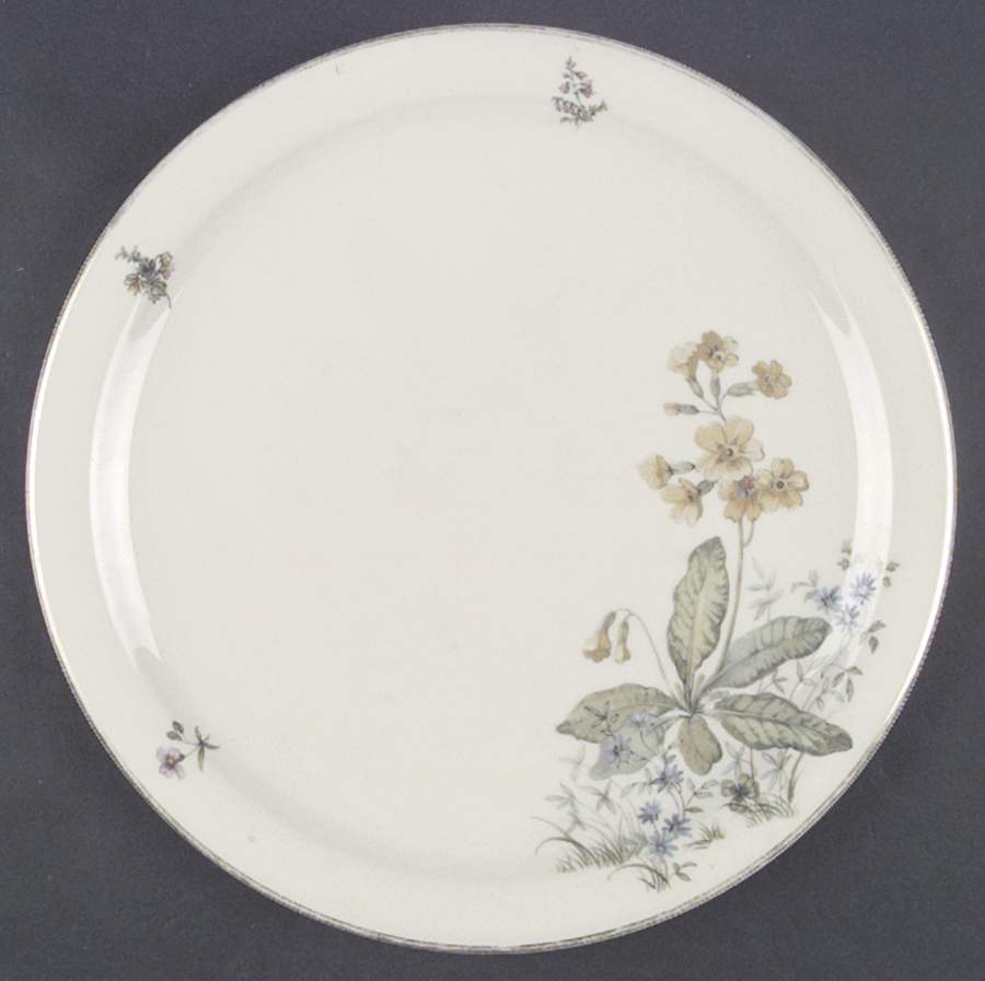 FR53 Dinner Plate by Franconia-Krautheim & Adelburg-1