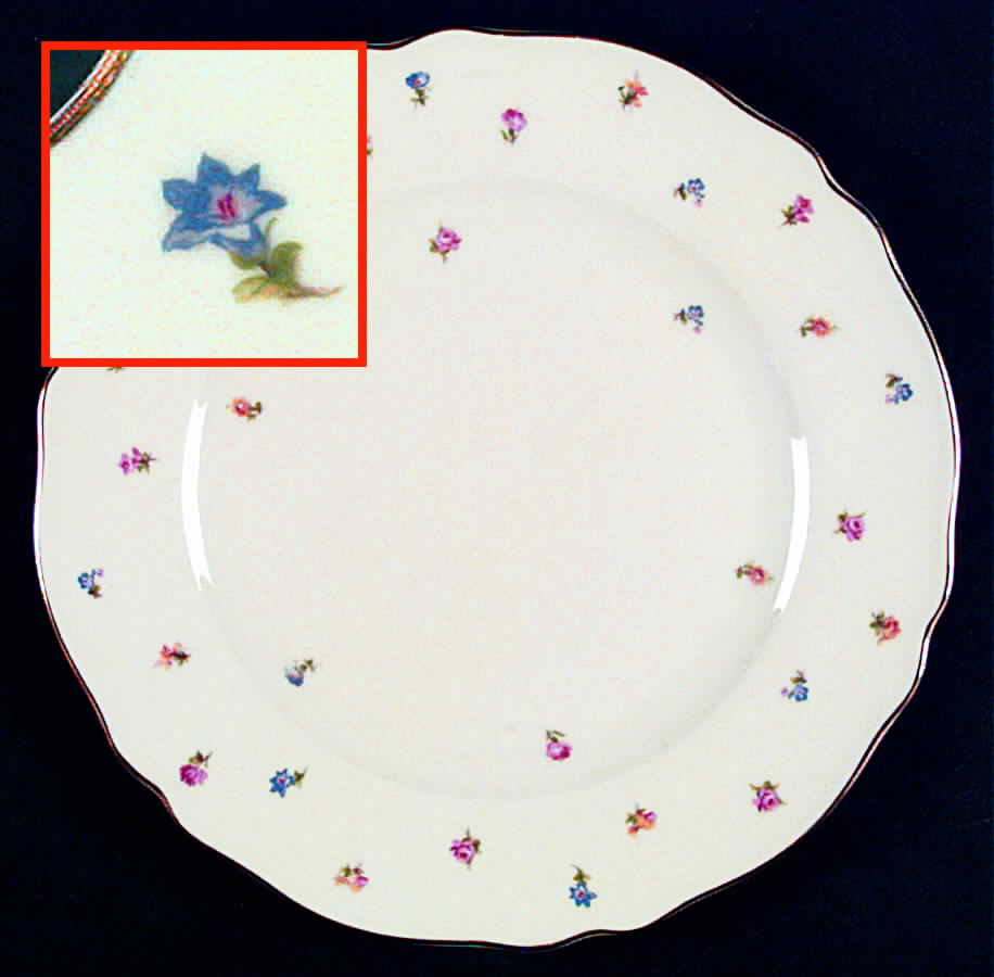 Louise Dinner Plate by Franconia-Krautheim & Adelburg-1