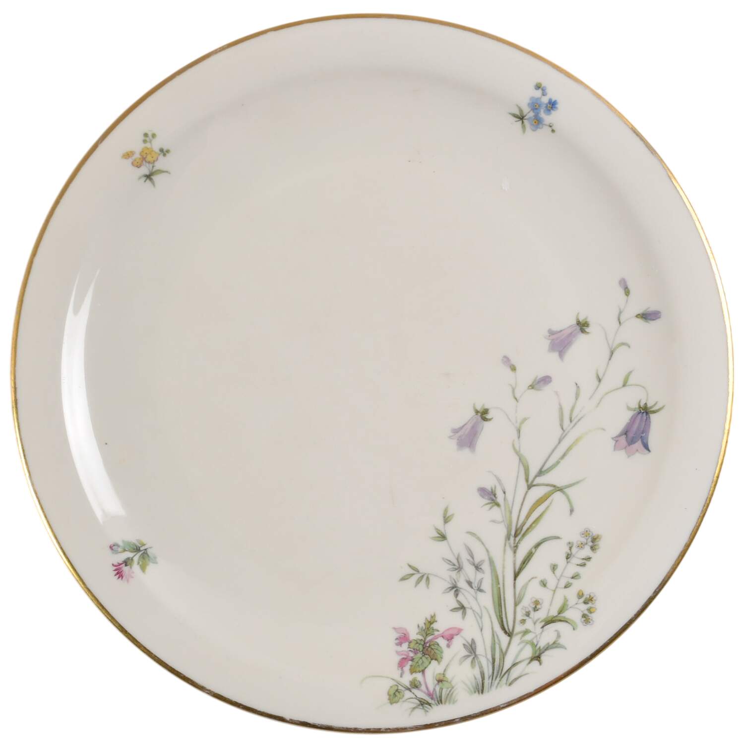 Meadow Flowers Dinner Plate by Franconia-Krautheim & Adelburg-1
