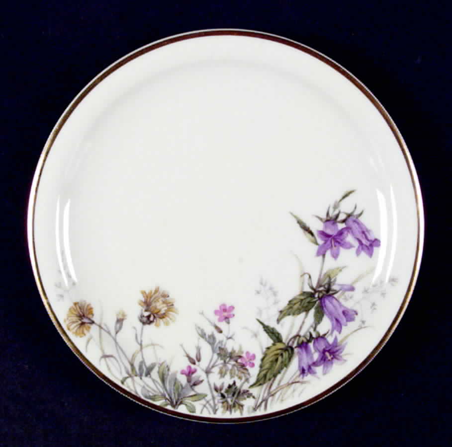 Meadow Flowers Bread & Butter Plate by Franconia-Krautheim & Adelburg-1