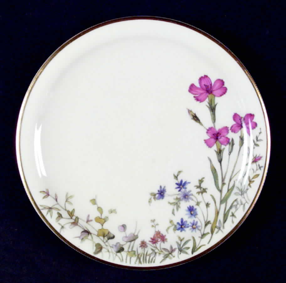 Meadow Flowers Bread & Butter Plate by Franconia-Krautheim & Adelburg-1