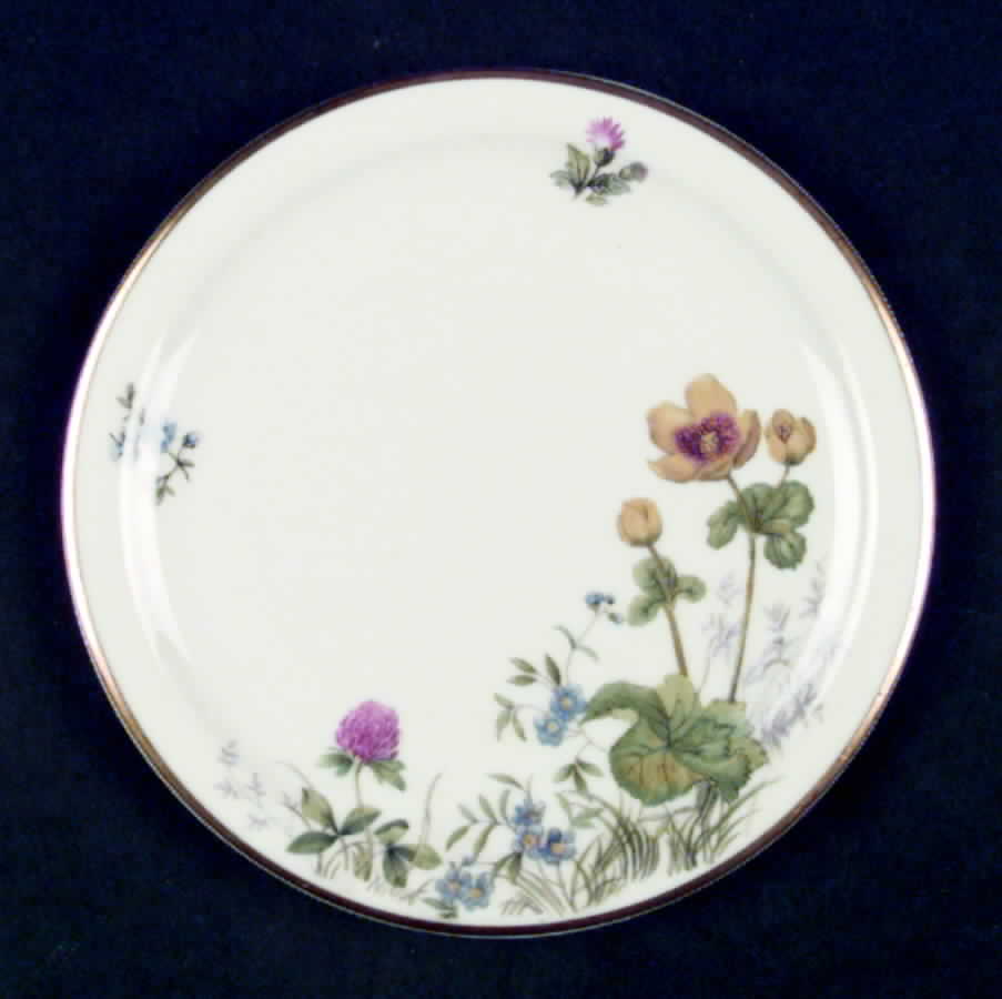 Meadow Flowers Bread & Butter Plate by Franconia-Krautheim & Adelburg-1