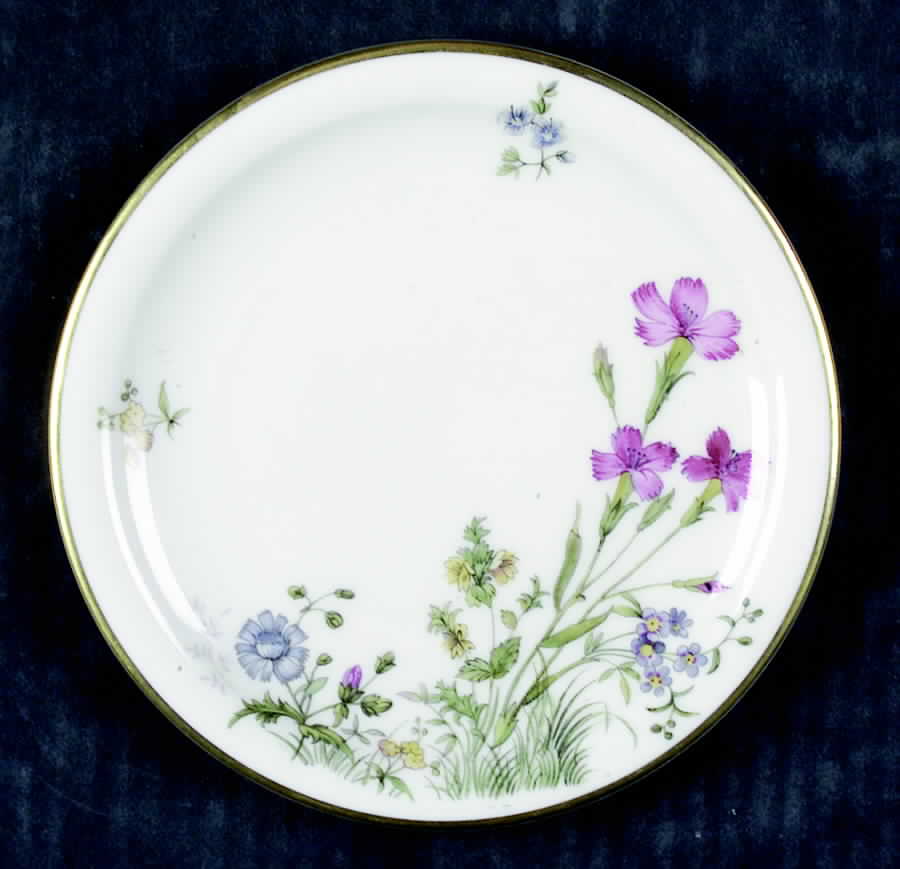 Meadow Flowers Bread & Butter Plate by Franconia-Krautheim & Adelburg-1